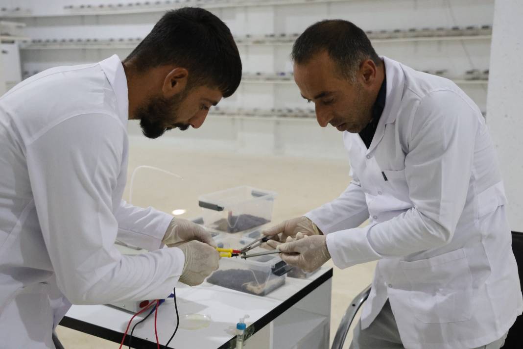 100 gramlık akrep zehri inşaat ustasına 59 milyonluk servet getirdi 8